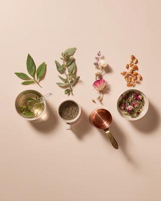 Plant part & method of setting