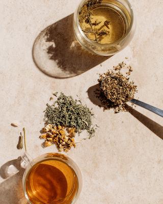 Hoe zet je kruidenthee?