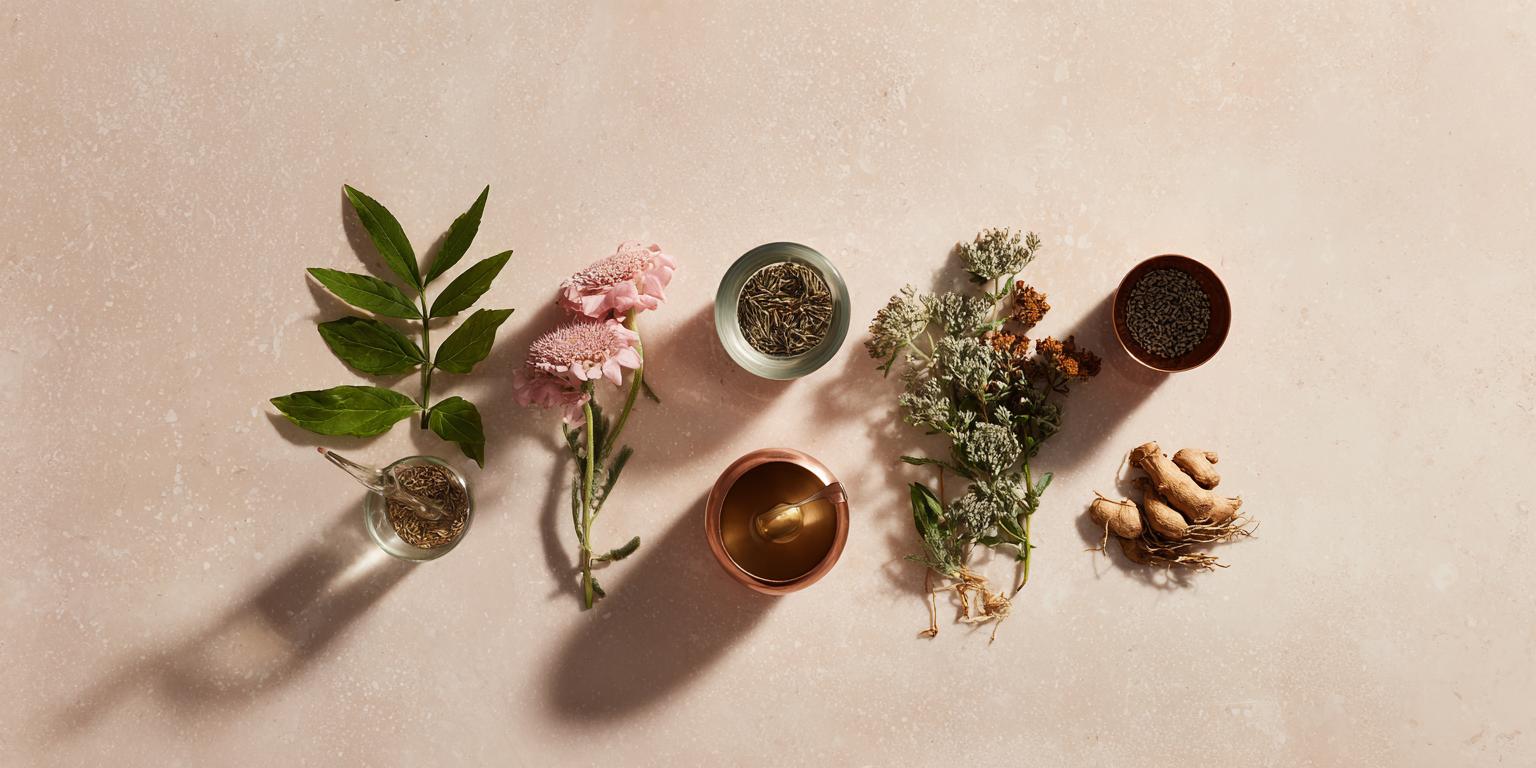 Plant part & method of setting (hero image)