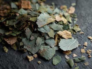 Getrocknet und bereit für Tee