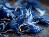 Getrocknet und bereit für Tee: blaue kornblume