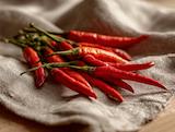 Frisch geerntet: chiliflocken