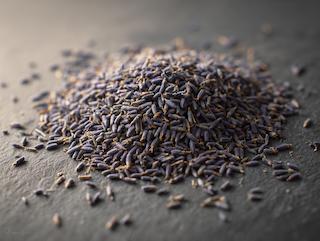 Getrocknet und bereit für Tee