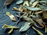 Gedroogd en klaar voor thee: olijfboomblad