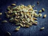 Getrocknet und bereit für Tee: fenchelsamen