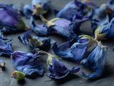 Gedroogd en klaar voor thee: blauwe vlindererwt