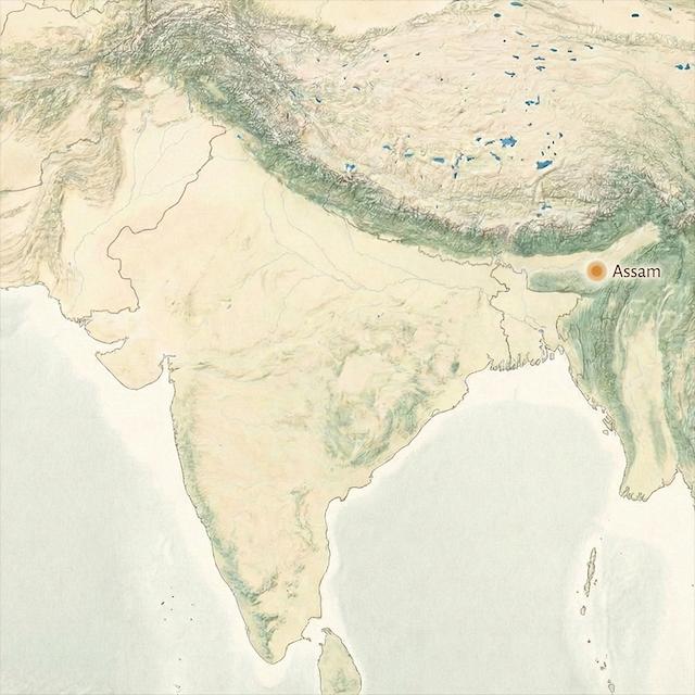Assam, India (map)
