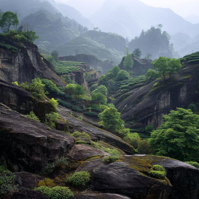 Fujian, Wuyi Mountains, China