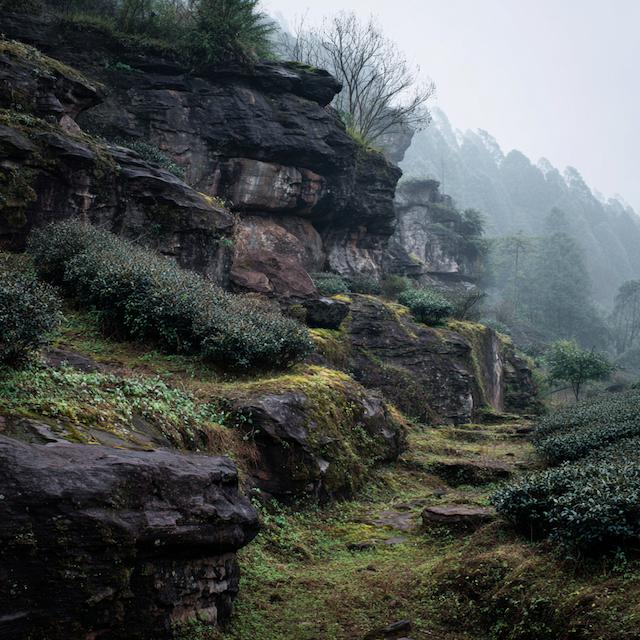 Fujian, Wuyishan, China