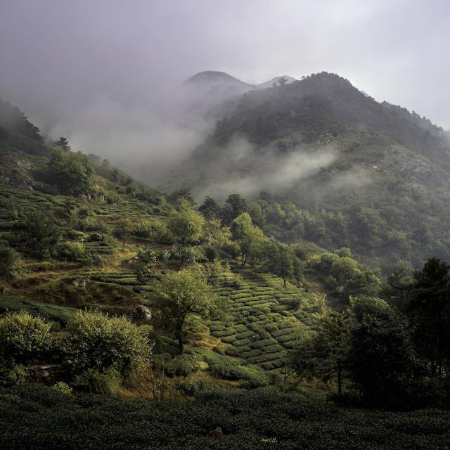 Yunnan, Mannong, China